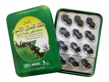 Черный Королевский Муравей Черный Королевский Муравей